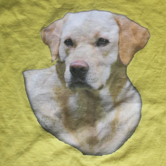 Fruit of the Loom Yellow Dog Print T-Shirt - Picture 4 of 7